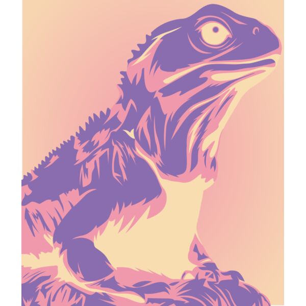 tuatara img Thumbnail