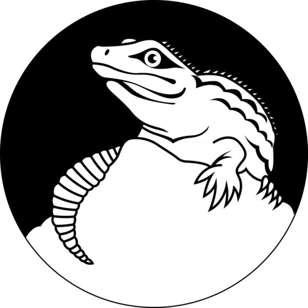 tuatara2 img Thumbnail